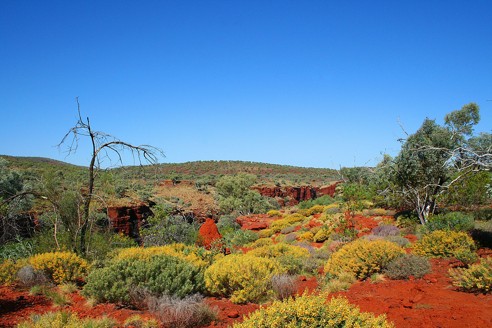 Western Australia Image 5